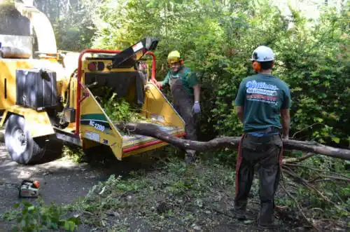 tree services Liberal